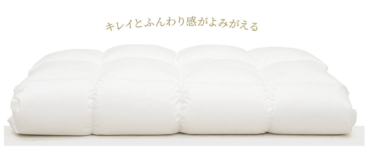 キレイとふんわり感がよみがえる